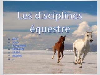 les disciplines questre