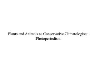 Plants and Animals as Conservative Climatologists: Photoperiodism