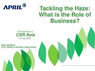 Tackling the Haze: What is the Role of Business?