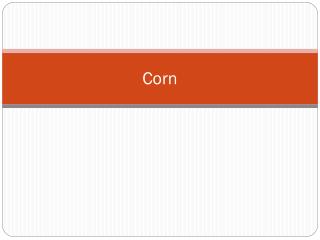 Corn