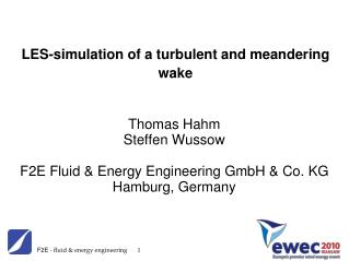 LES-simulation of a turbulent and meandering wake