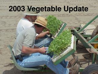 2003 Vegetable Update