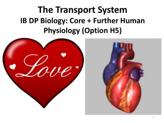 The Transport System IB DP Biology: Core + Further Human Physiology (Option H5)