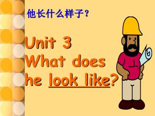 Unit 3 What does he look like ?