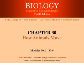 CHAPTER 30 How Animals Move
