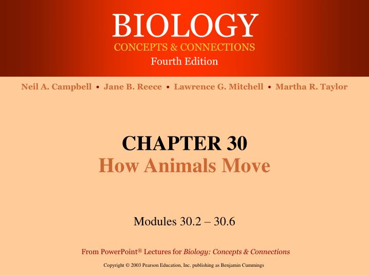 chapter 30 how animals move