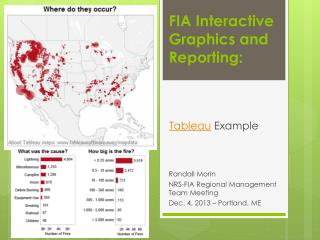 FIA Interactive Graphics and Reporting: