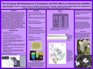 The Ty3- gypsy Retrotransposons in Gossypium and their affect on Genome Size Variation