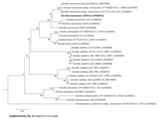 Supplementary Fig. S1 Legend on next page.