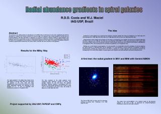 R.D.D. Costa and W.J. Maciel IAG/USP, Brazil