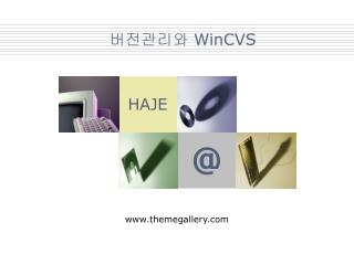 wincvs