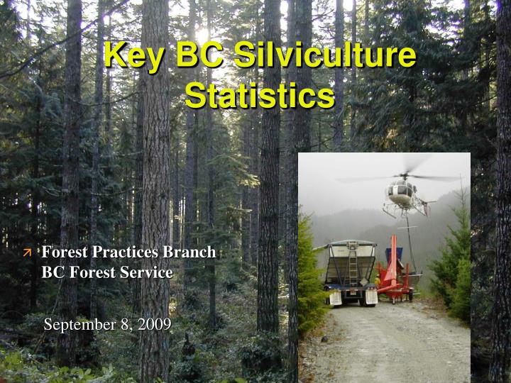 key bc silviculture statistics