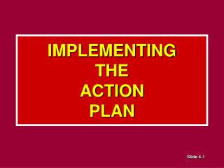 IMPLEMENTING THE ACTION PLAN