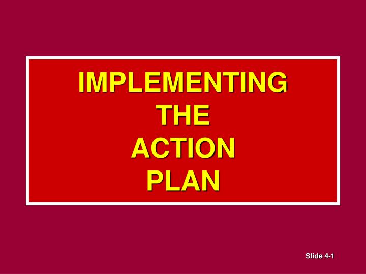 implementing the action plan