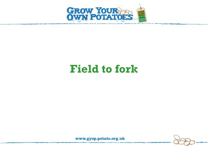 field to fork