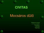 Mocsáros dűlő - slide 1