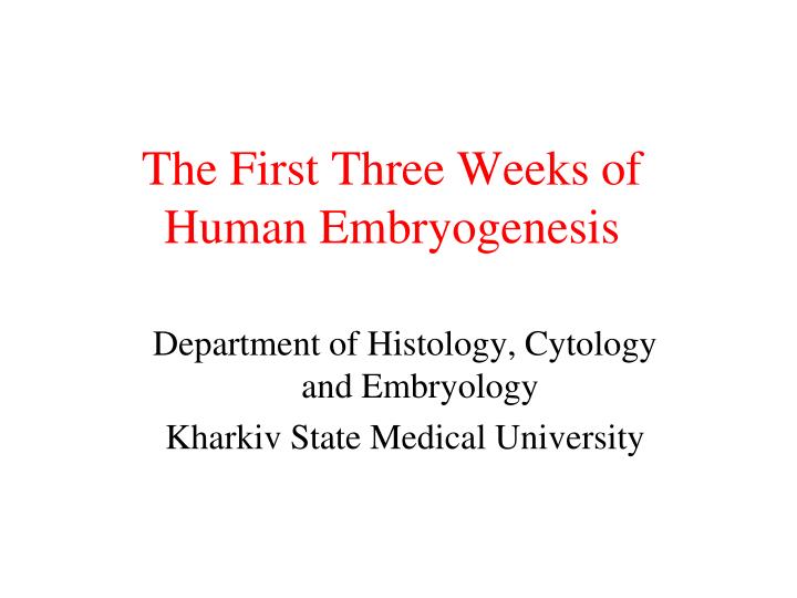 the first three weeks of human embryogenesis