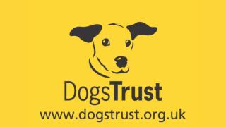Dress Down Day for Dogs Trust
