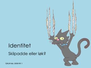 identitet
