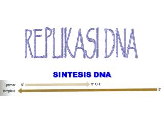 SINTESIS DNA