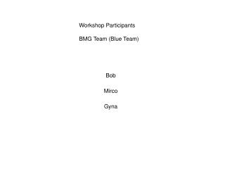 Workshop Participants BMG Team (Blue Team)