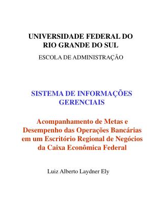 sistema de informa es gerenciais