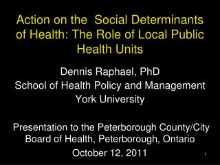 Action on the Social Determinants of Health: The Role of Local Public Health Units