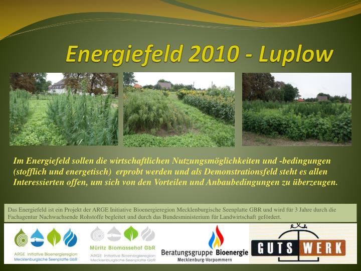 energiefeld 2010 luplow