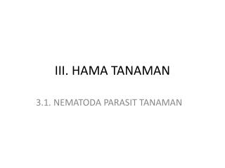 iii hama tanaman