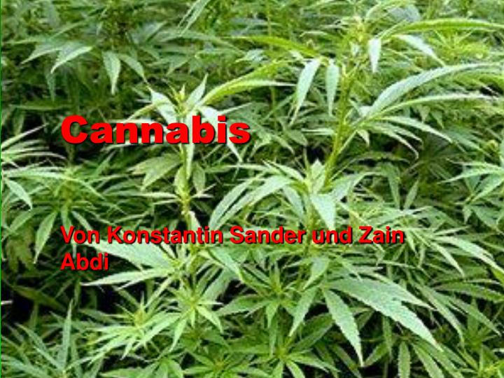 PPT - Cannabis PowerPoint Presentation, Free Download - ID:3568281