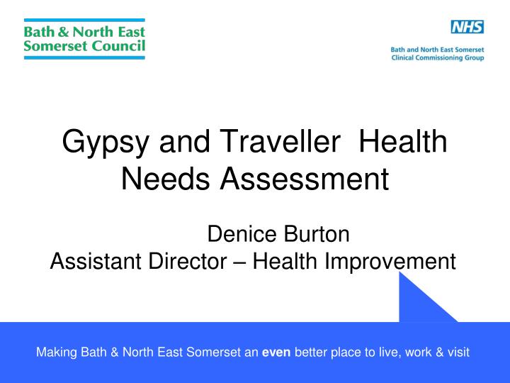 gypsy and traveller health needs assessment