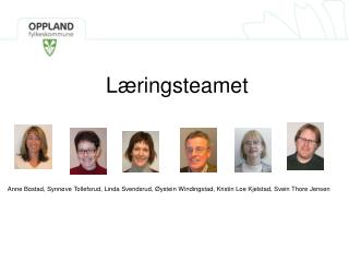 l ringsteamet