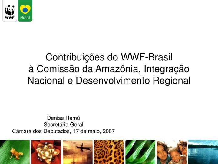 contribui es do wwf brasil comiss o da amaz nia integra o nacional e desenvolvimento regional