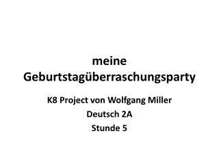 meine geburtstag berraschungsparty