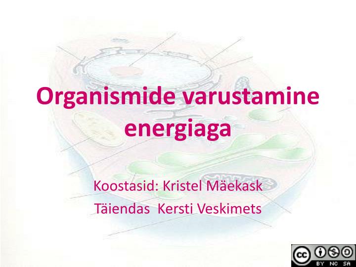 organismide varustamine energiaga