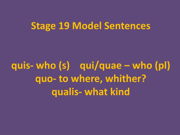 stage 19 model sentences quis who s qui quae who pl quo to where whither qualis what kind