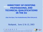 European Socio-economic Research Project Methodology and Execution Guide - slide 1
