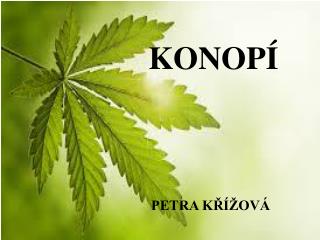 konop