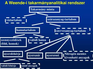 a weende i takarm nyanalitikai rendszer
