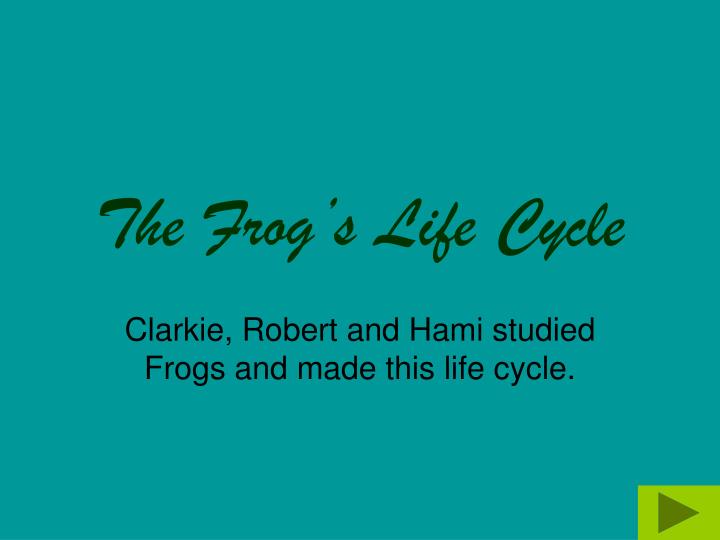 the frog s life cycle