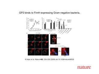 K Hase et al. Nature 462 , 226 - 230 (2009) doi:10.1038/nature08 529