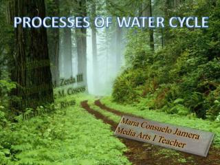 PROCESSES OF WATER CYCLE