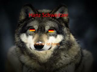 hanz schweitzer