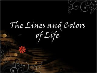 The Lines and Colors of Life
