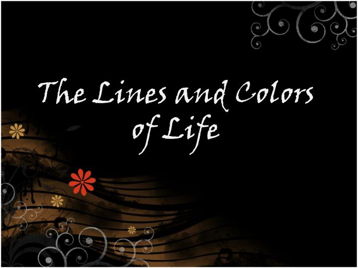 the lines and colors of life