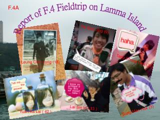 Report of F.4 Fieldtrip on Lamma Island