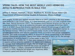 SPERM TALES: HOW THE MOST WIDELY USED HERBICIDE AFFECTS REPRODUCTION IN MALE FISH