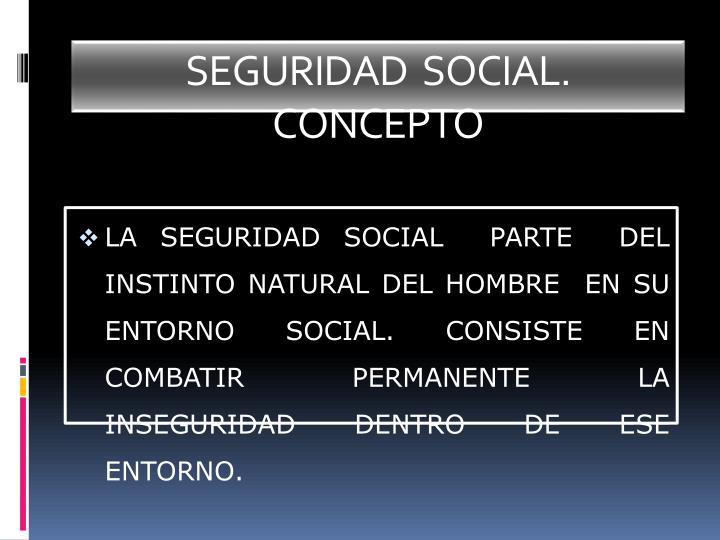 seguridad social concepto