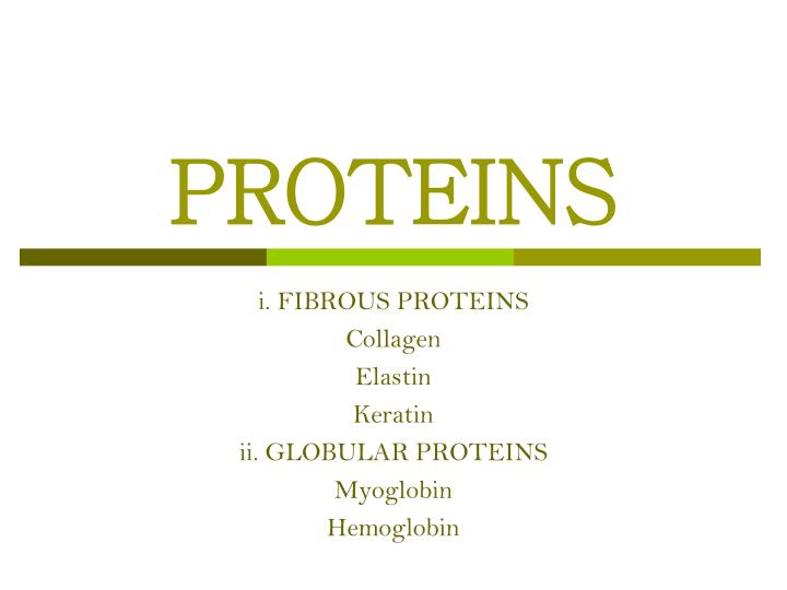 proteins