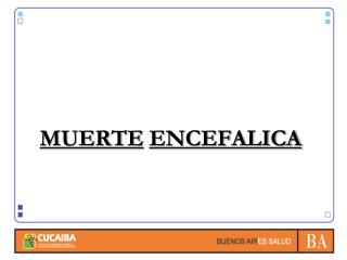 muerte encefalica